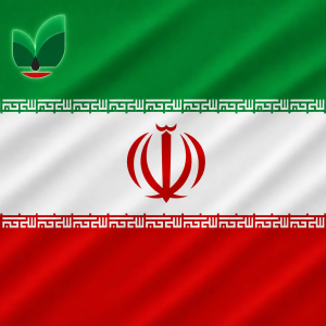 نفت ایران و پالایش نفت سینا شمال
